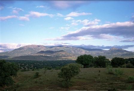 Cardiel de los Montes